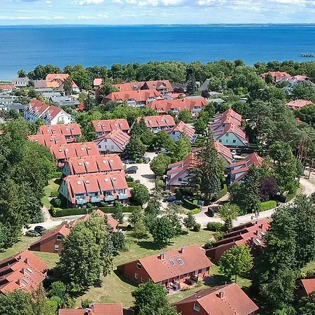 Papillon 08-4 Boltenhagen (Ostseebad)